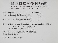 登錄號:F0028029藏品圖，第2張