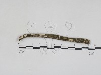 登錄號:F0028029藏品圖，第1張