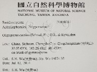 登錄號:F0028031藏品圖，第2張