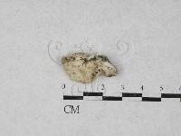 登錄號:F0028031藏品圖，第1張