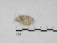 登錄號:F0028031藏品圖，第3張