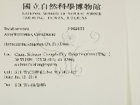 剛毛絲皮菌藏品圖，第2張