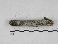 登錄號:F0028034藏品圖，第2張