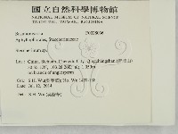 齒耳菌屬藏品圖，第2張