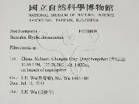 登錄號:F0028038藏品圖，第2張