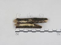 登錄號:F0028038藏品圖，第1張