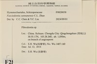 登錄號:F0028038藏品圖，第3張