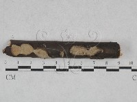 登錄號:F0028039藏品圖，第3張