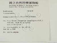 登錄號:F0028040藏品圖，第2張