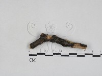 登錄號:F0028040藏品圖，第1張