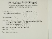 登錄號:F0028041藏品圖，第2張