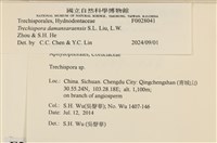 登錄號:F0028041藏品圖，第3張