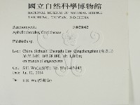 登錄號:F0028042藏品圖，第2張