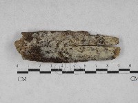 登錄號:F0028042藏品圖，第1張