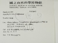 登錄號:F0028043藏品圖，第2張