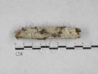 登錄號:F0028043藏品圖，第1張