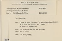 登錄號:F0028043藏品圖，第3張