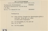 登錄號:F0028044藏品圖，第3張