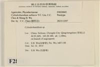 登錄號:F0028045藏品圖，第3張