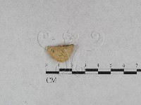 登錄號:F0028046藏品圖，第3張