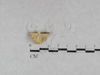 登錄號:F0028046藏品圖，第4張