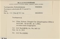登錄號:F0028046藏品圖，第5張