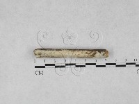 登錄號:F0028047藏品圖，第1張
