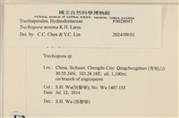 登錄號:F0028047藏品圖，第3張