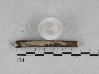 登錄號:F0028048藏品圖，第4張