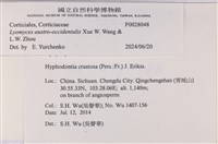 登錄號:F0028048藏品圖，第5張