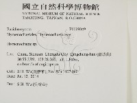 刺革菌屬藏品圖，第2張