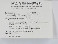 登錄號:F0028050藏品圖，第2張