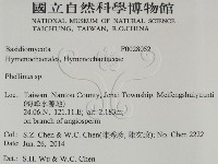 木層孔菌屬藏品圖，第2張