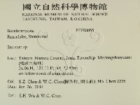 韌革菌屬藏品圖，第2張