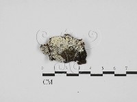 登錄號:F0028059藏品圖，第1張