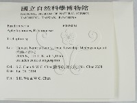 附毛菌屬藏品圖，第2張