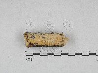登錄號:F0028063藏品圖，第1張