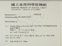 齒耳菌屬藏品圖，第2張