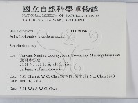 齒耳菌屬藏品圖，第2張