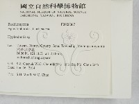 絲齒菌屬藏品圖，第2張