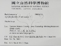 登錄號:F0028072藏品圖，第2張