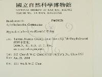 登錄號:F0028076藏品圖，第2張