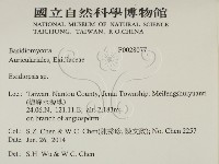 登錄號:F0028077藏品圖，第2張