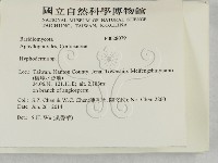 絲皮菌屬藏品圖，第2張