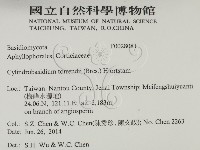 登錄號:F0028081藏品圖，第2張