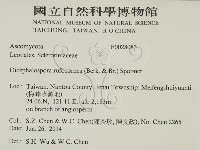 登錄號:F0028083藏品圖，第2張