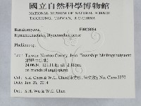木層孔菌屬藏品圖，第2張