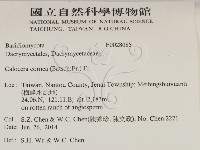 登錄號:F0028085藏品圖，第2張