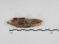 登錄號:F0028085藏品圖，第1張