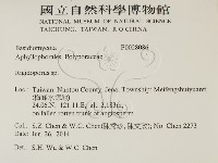 硬孔菌屬藏品圖，第2張